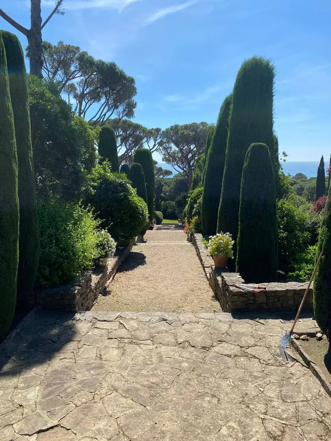 Allée en dalles et gravier bordée de cyprès taillés et de buis, pins parasols et mer en arrière-plan, dans un jardin de Saint-Raphaël